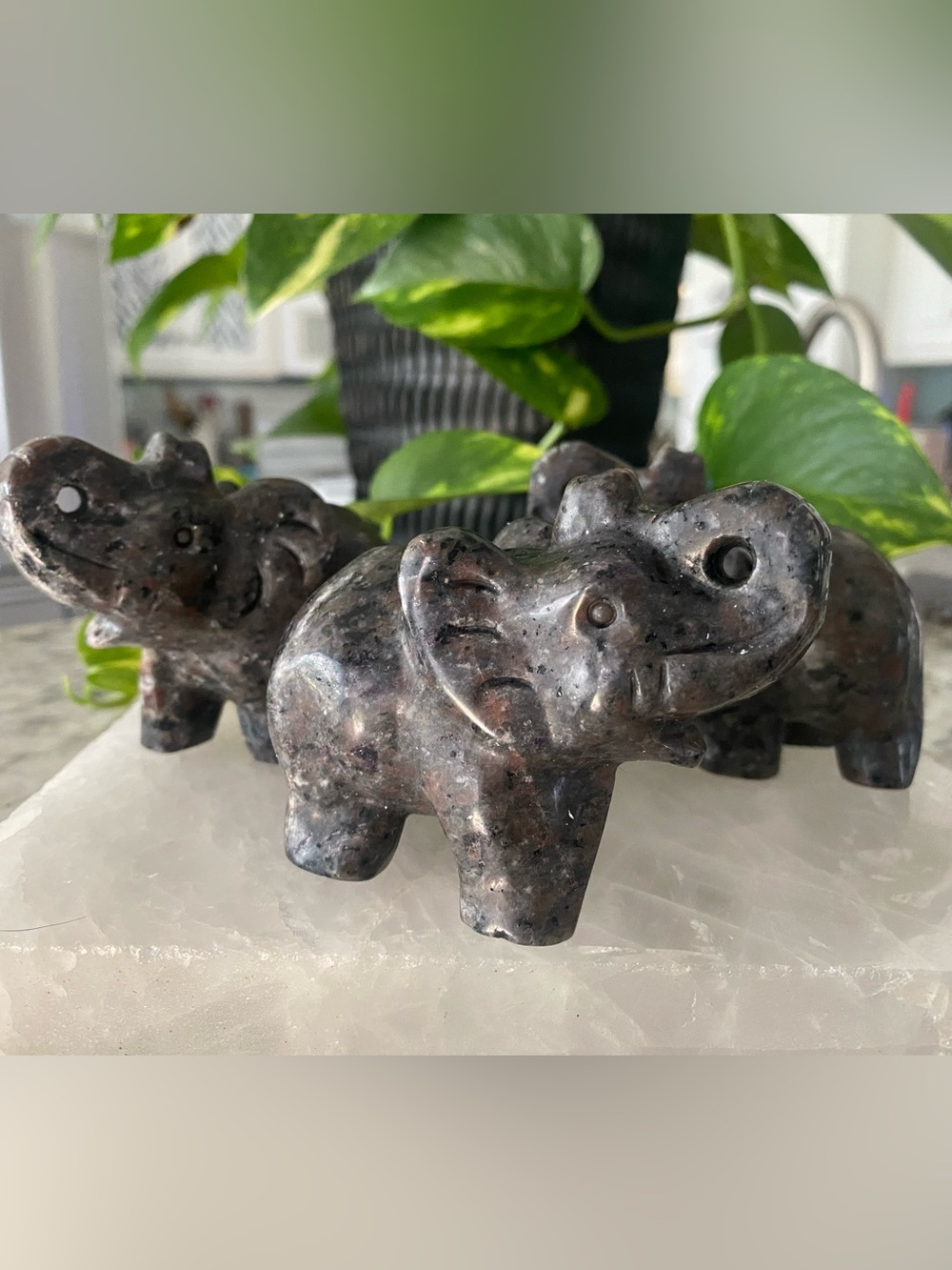 🐘✨ Good Luck Meets Glowing Magic! ✨🐘